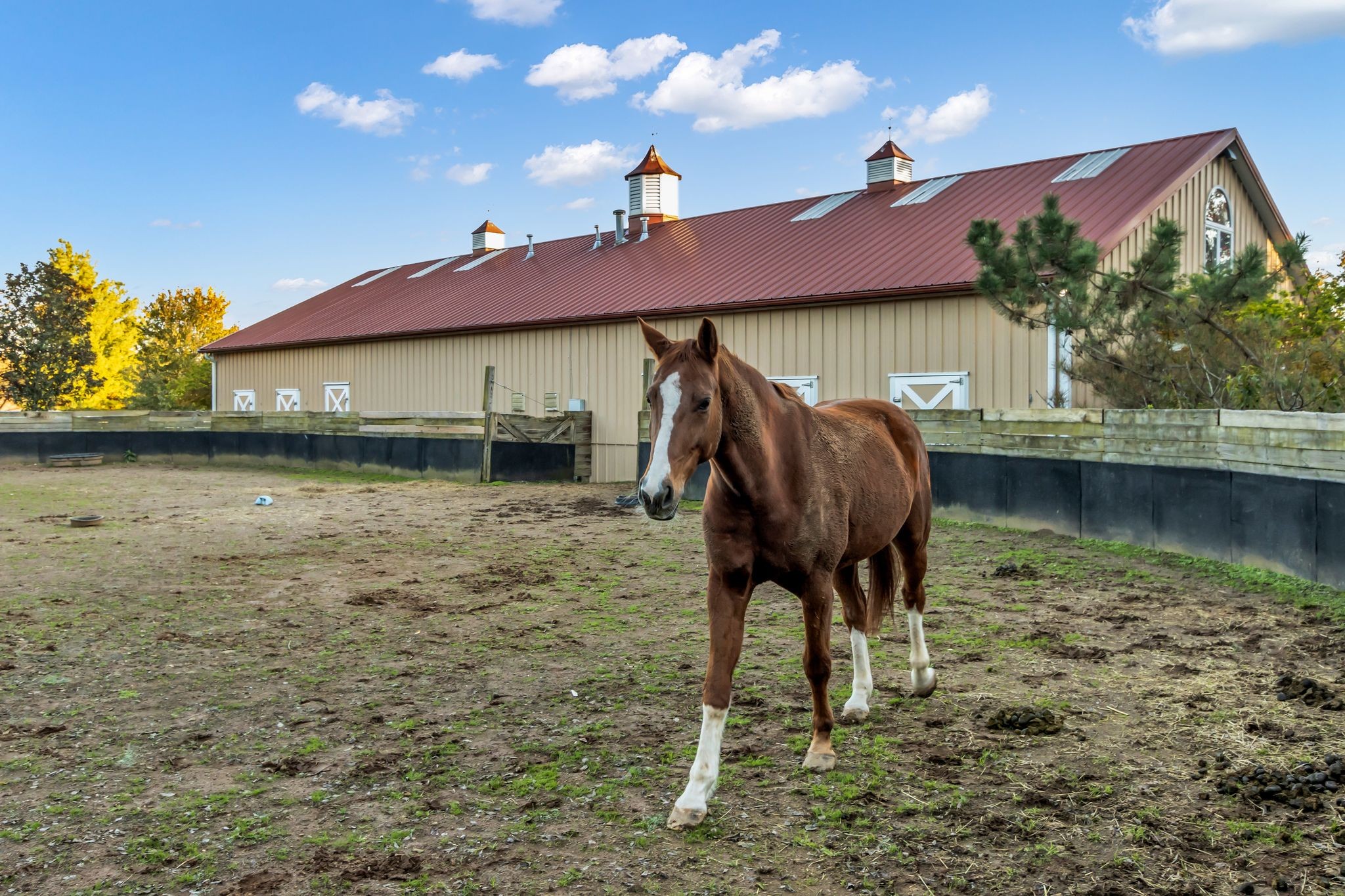 2942 Spanntown Road Arrington, TN 37014 - Photo 80 of 94