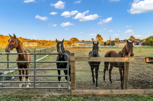 a view of a porch with a bench