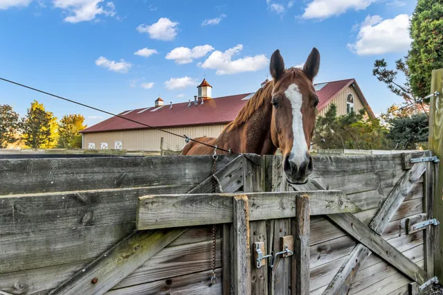 $4,875,000 | 2942 Spanntown Road, Arrington, TN 37014