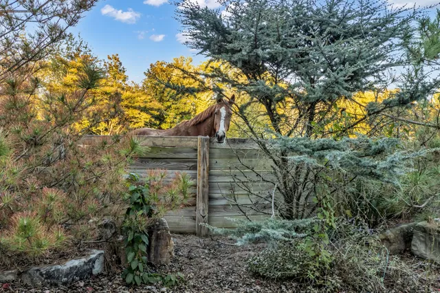 $4,875,000 | 2942 Spanntown Road, Arrington, TN 37014