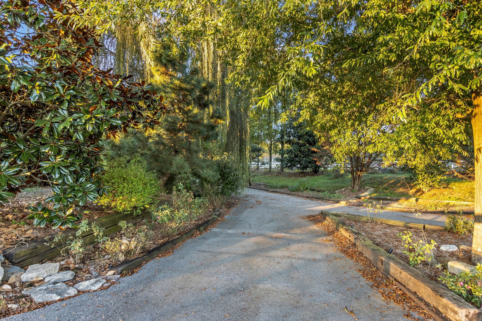 2942 Spanntown Road Arrington, TN 37014 - Photo 87 of 94 a pathway of a yard