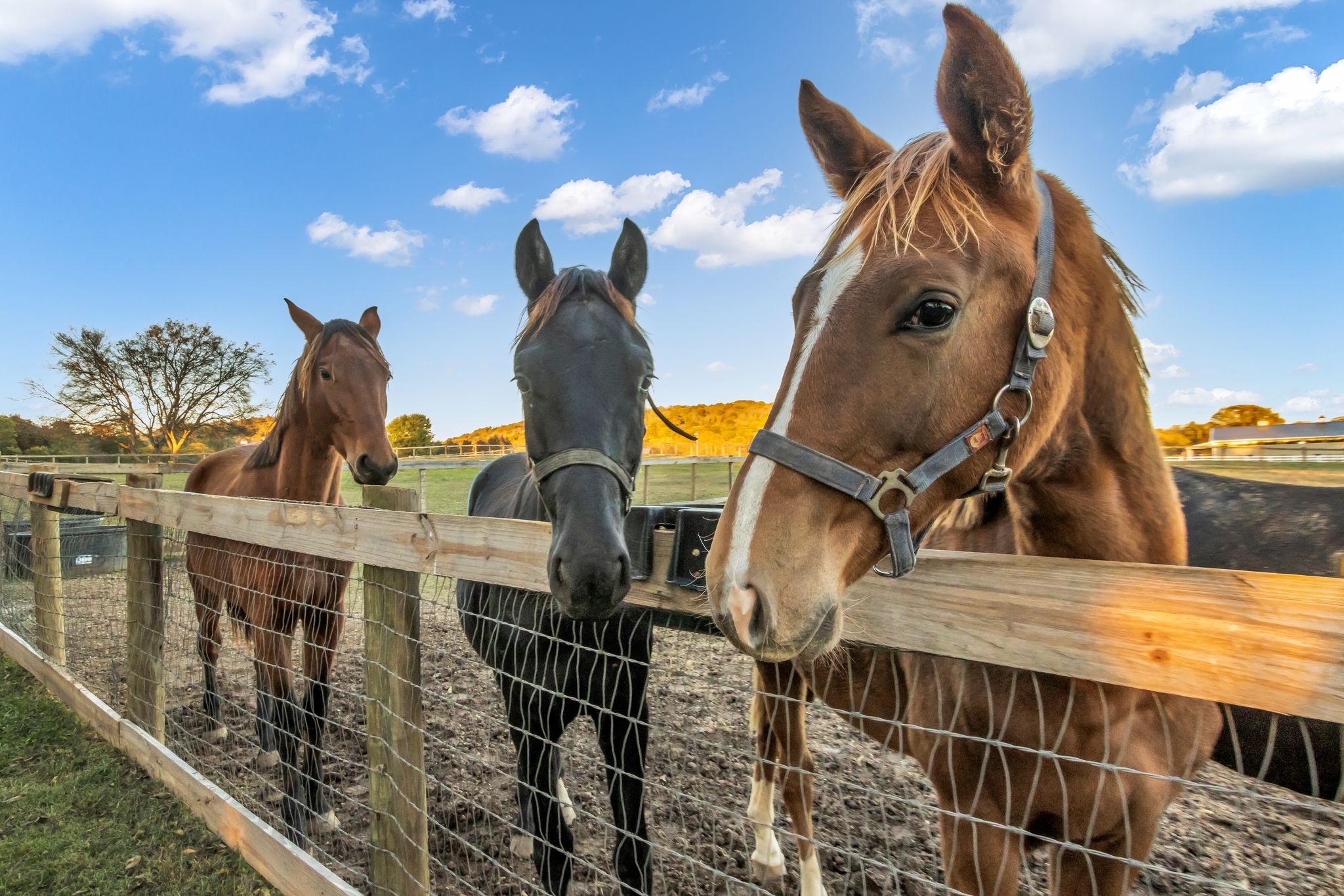 2942 Spanntown Road Arrington, TN 37014 - Photo 9 of 94 a view of gym equipment