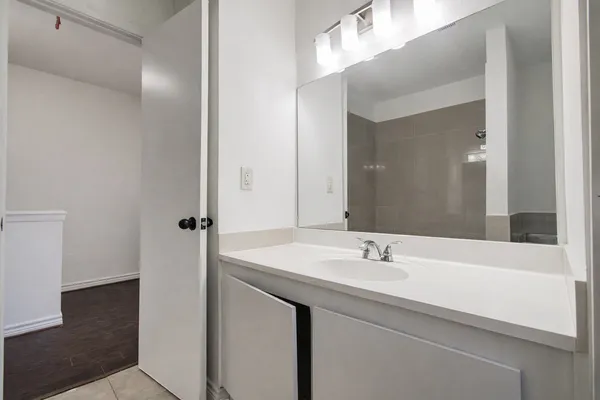 a bathroom with a sink and a mirror