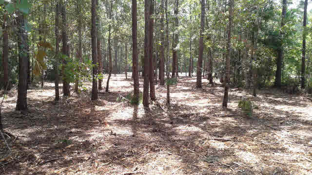 5 Britton Lane Bon Secour, AL 36511 - Photo 5 of 7 View from water