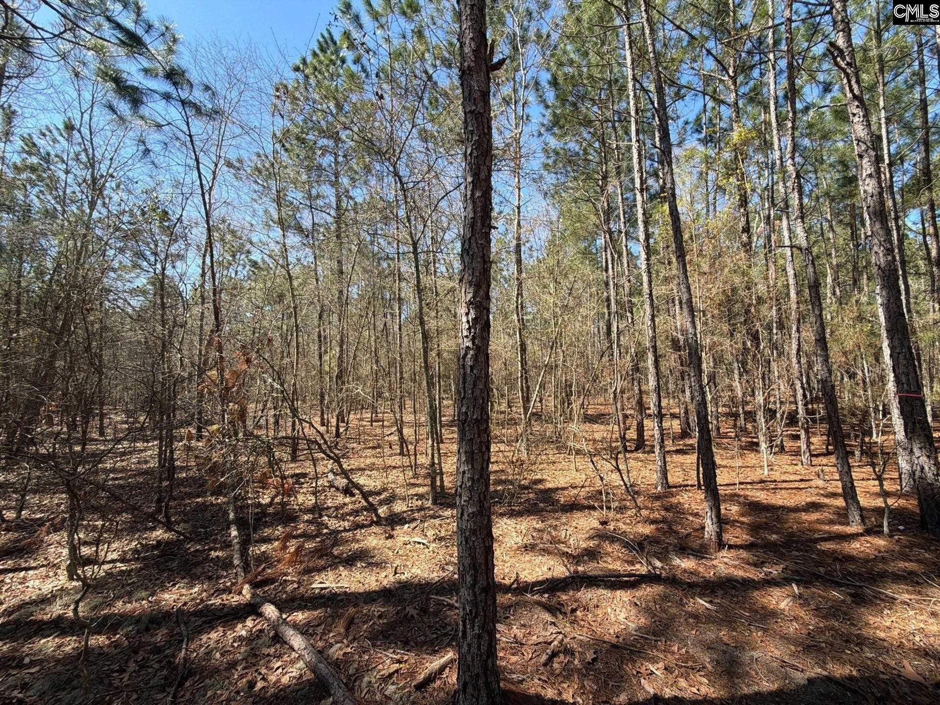 10 Boise Cascade Road, Unit BHL 10 Bethune, SC 29009 - Photo 18 of 24