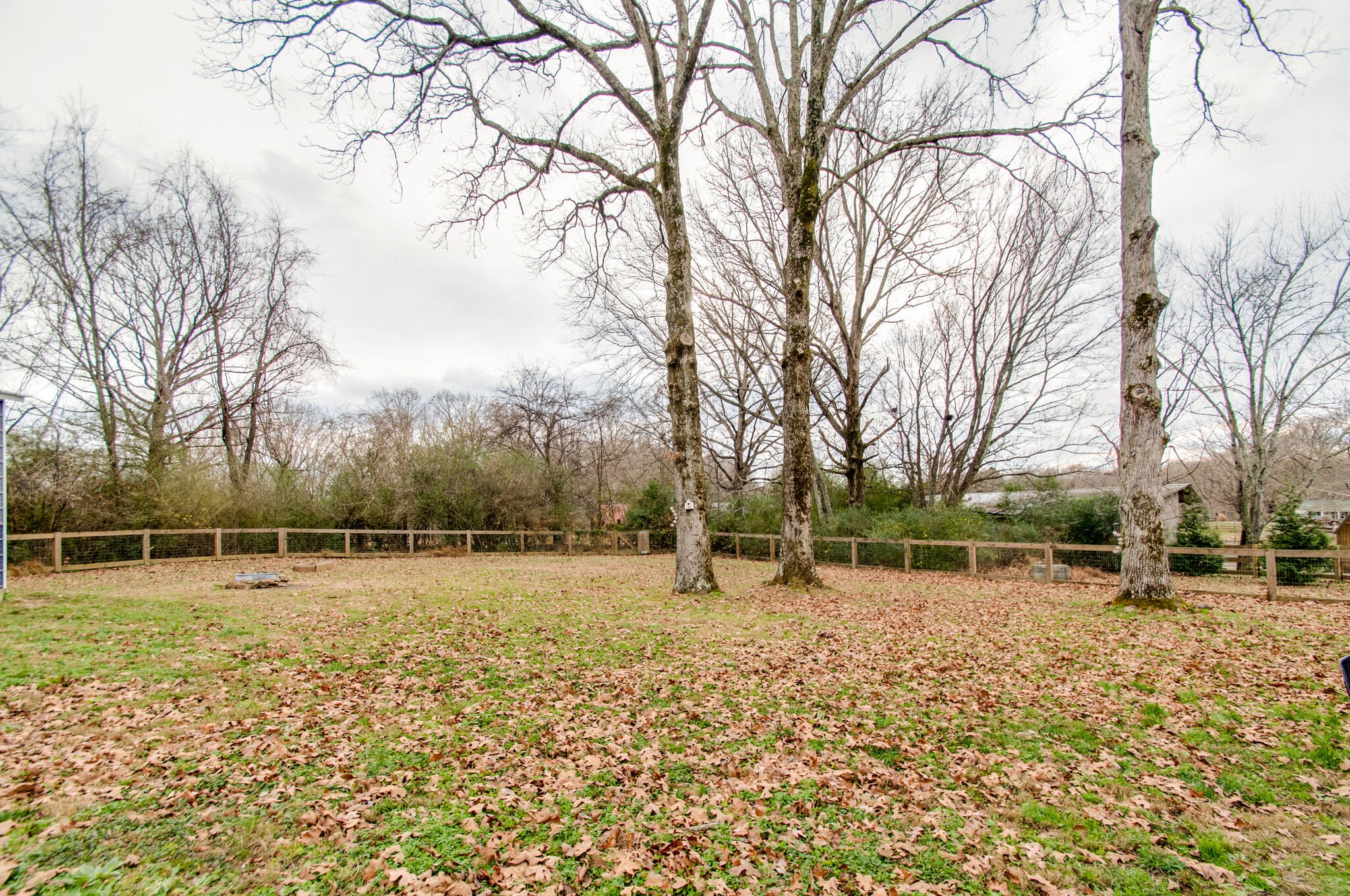 7377 Taylor Road Fairview, TN 37062 - Photo 6 of 22 a backyard of apartments with large trees