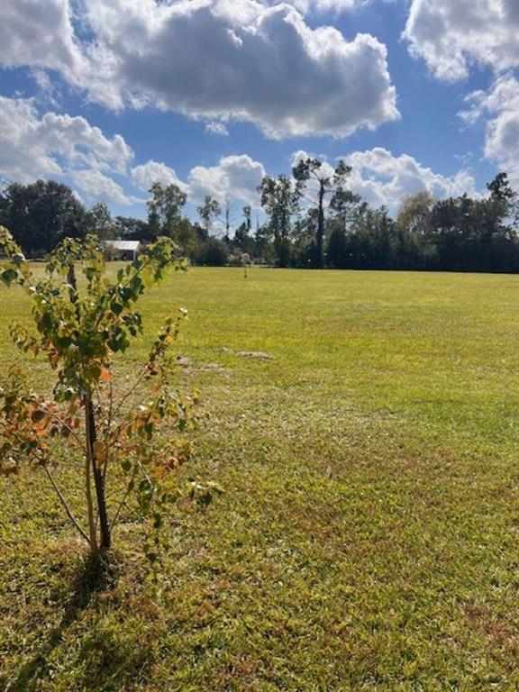 Pete Seay Road Sulphur, LA 70665 - Photo 10 of 24