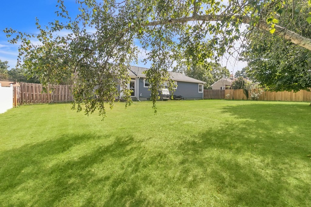 48 Greenlawn Street Springfield, MA 01119 - Photo 26 of 39 a view of a tree in a yard
