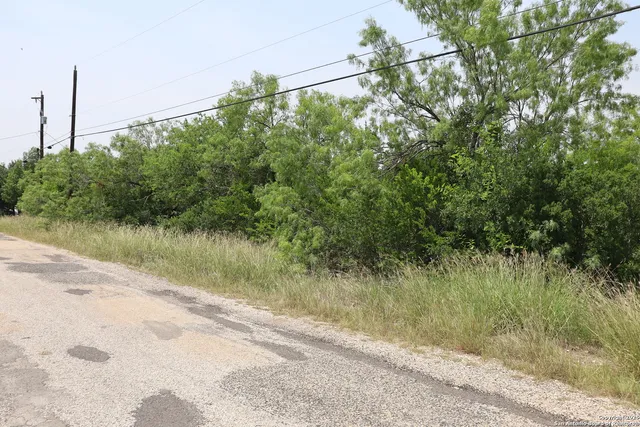 a view of a lake with a yard and large trees