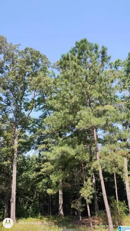 $67,418 | 0 Wishing Well Lane, Unit 1, McCalla, AL 35111
