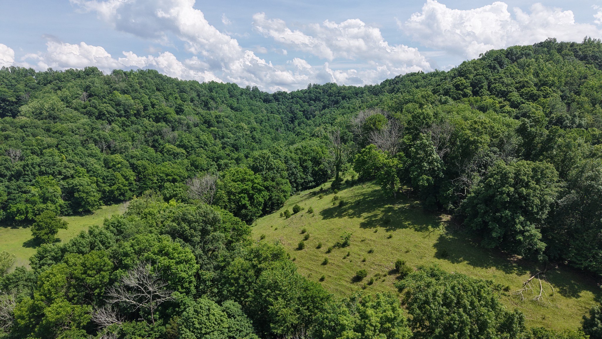 1358 Dry Branch Road Dixon Springs, TN 37057 - Photo 44 of 98