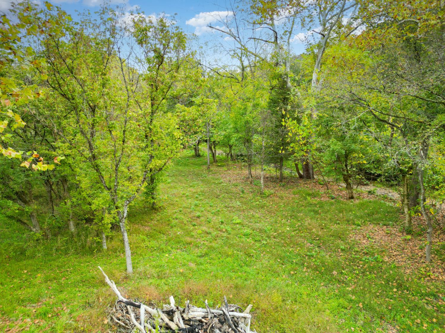 4499 Nelson Road Rising Sun, IN 47040 - Photo 5 of 16