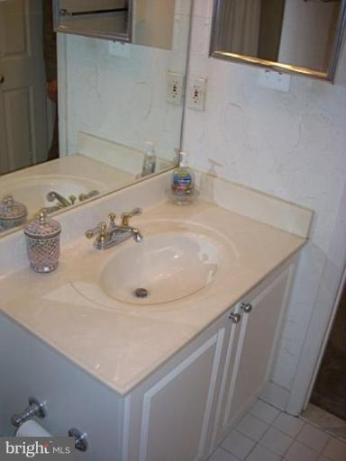 46 Ritters Ridge Court, Unit 46 Owings Mills, MD 21117 - Photo 5 of 8 a bathroom with a sink and a mirror