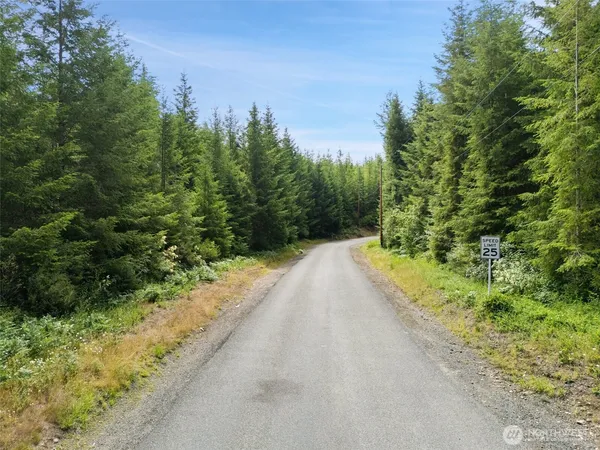a view of a road with a yard