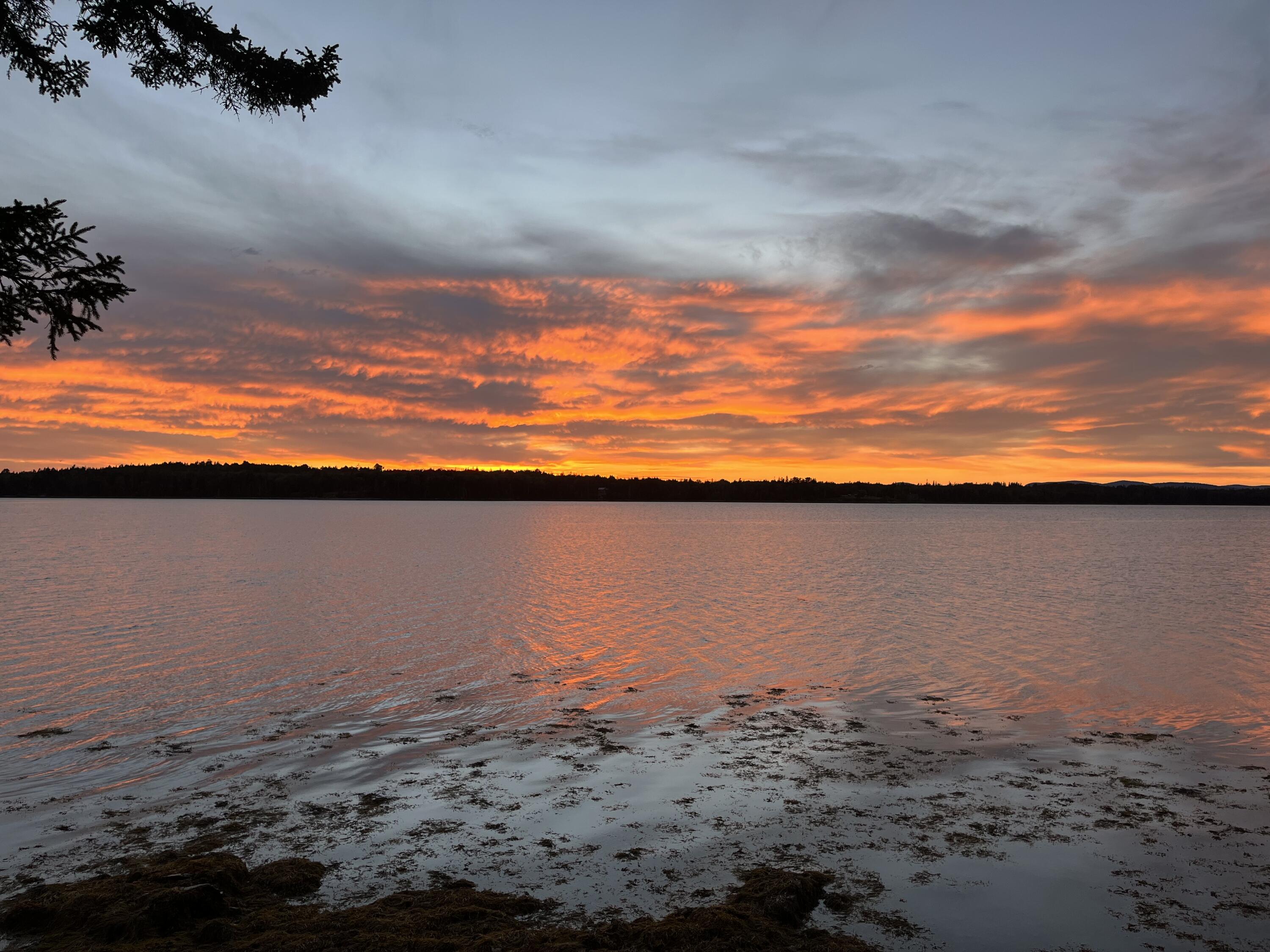 423 Rogers Point Road Steuben, ME 04680 - Photo 1 of 21 IMG_4628