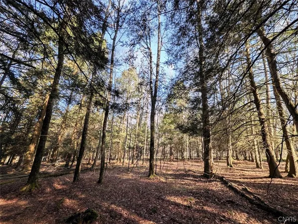$59,900 | 2788 Williamson Road, Greenwood, NY 14839