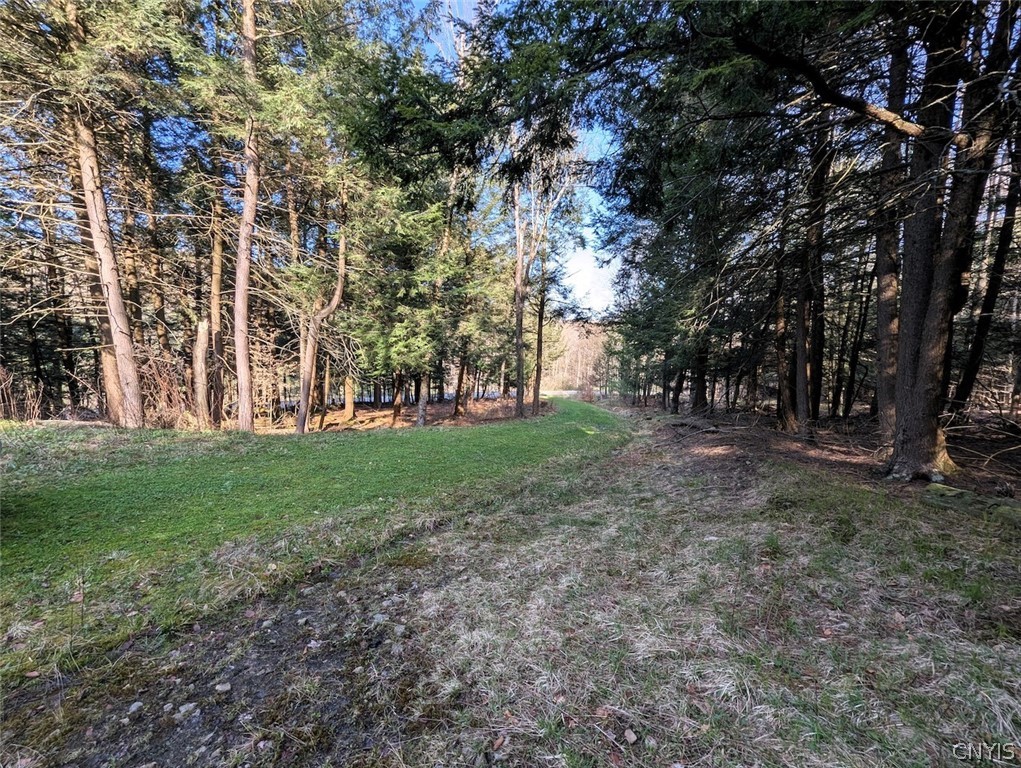 2788 Williamson Road Greenwood, NY 14839 - Photo 11 of 37