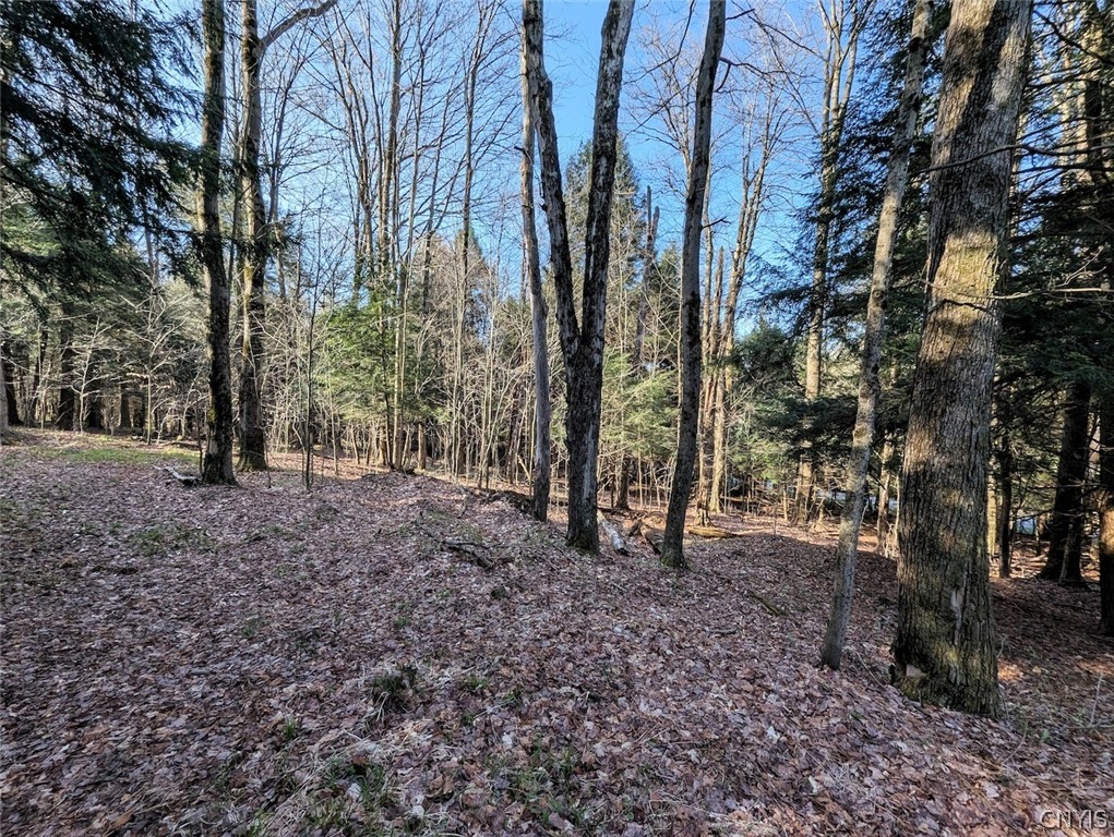 2788 Williamson Road Greenwood, NY 14839 - Photo 13 of 37