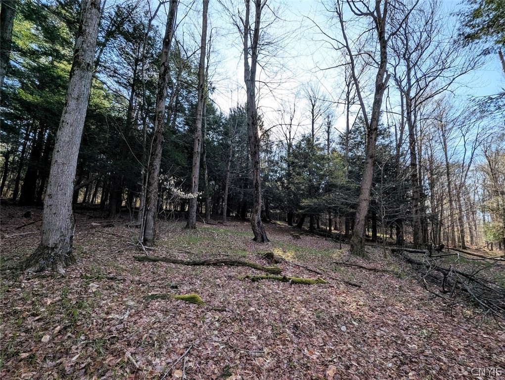 2788 Williamson Road Greenwood, NY 14839 - Photo 14 of 37