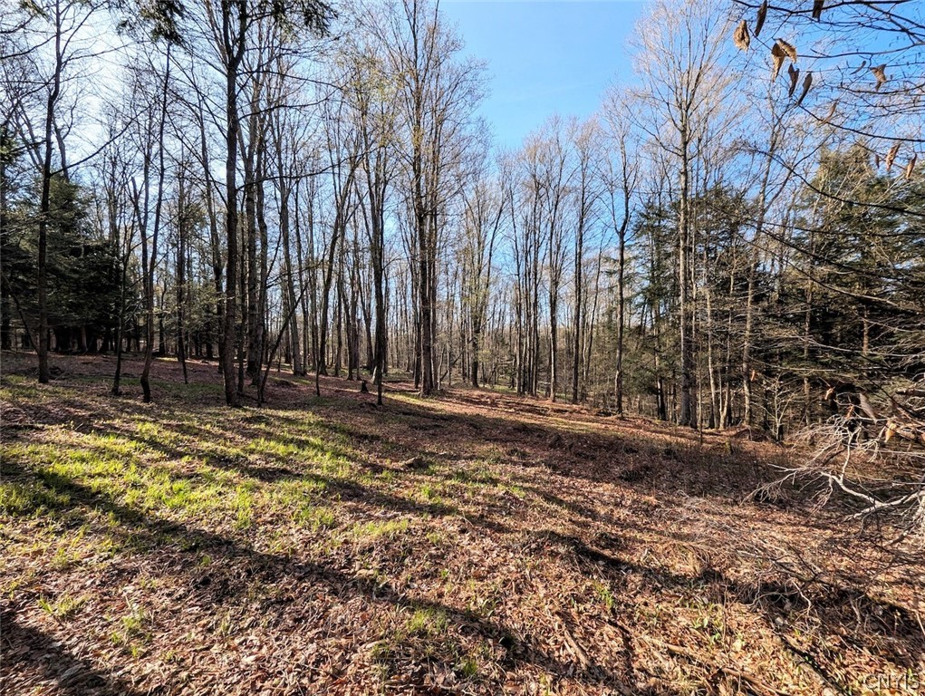 2788 Williamson Road Greenwood, NY 14839 - Photo 15 of 37