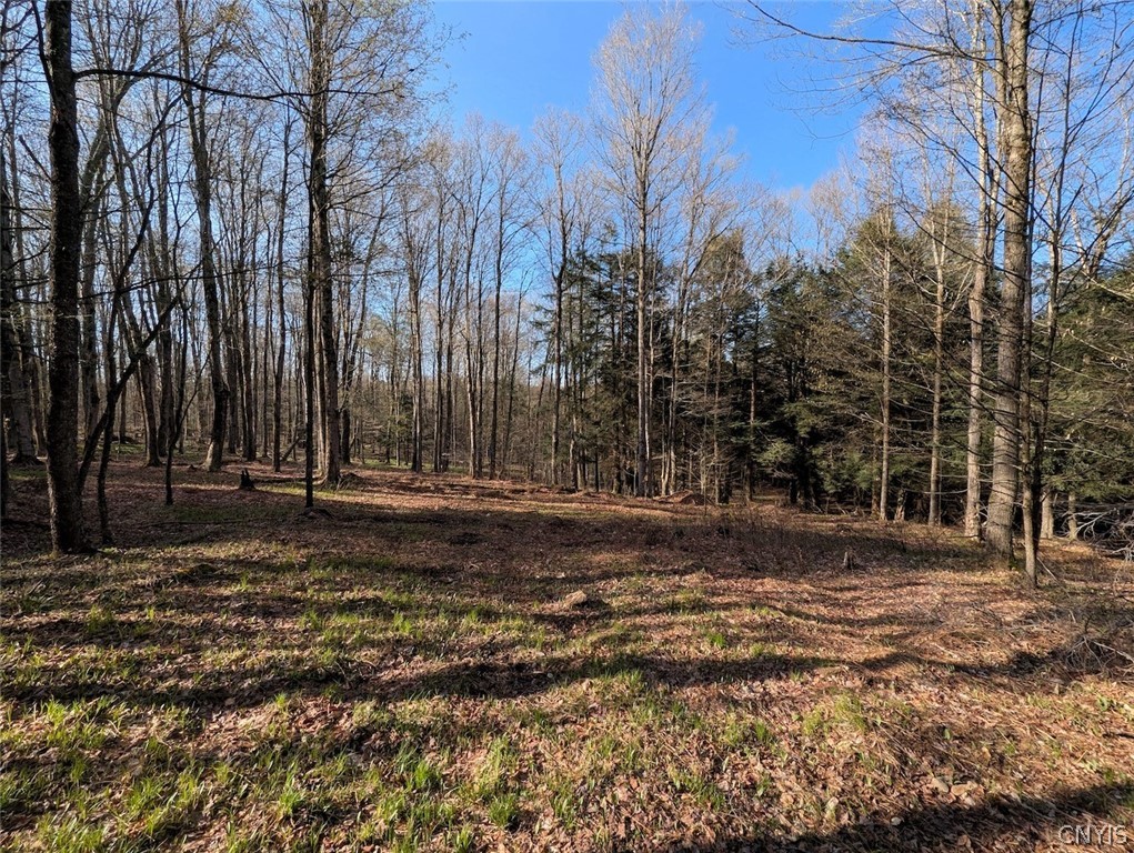 2788 Williamson Road Greenwood, NY 14839 - Photo 16 of 37