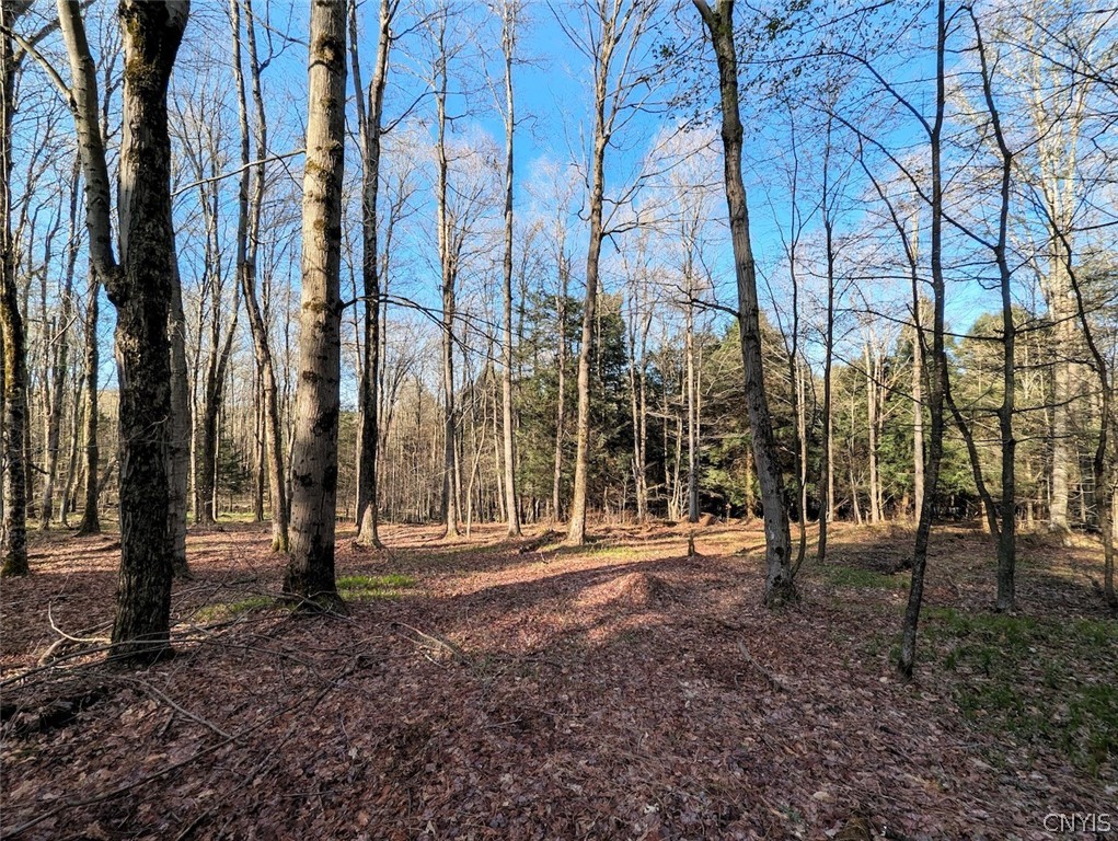 2788 Williamson Road Greenwood, NY 14839 - Photo 17 of 37