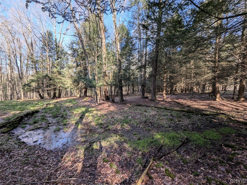 2788 Williamson Road Greenwood, NY 14839 - Photo 18 of 37