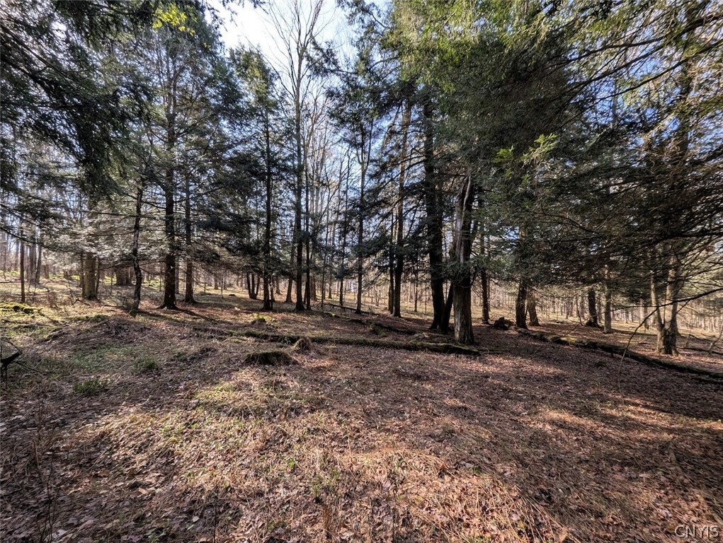 2788 Williamson Road Greenwood, NY 14839 - Photo 20 of 37