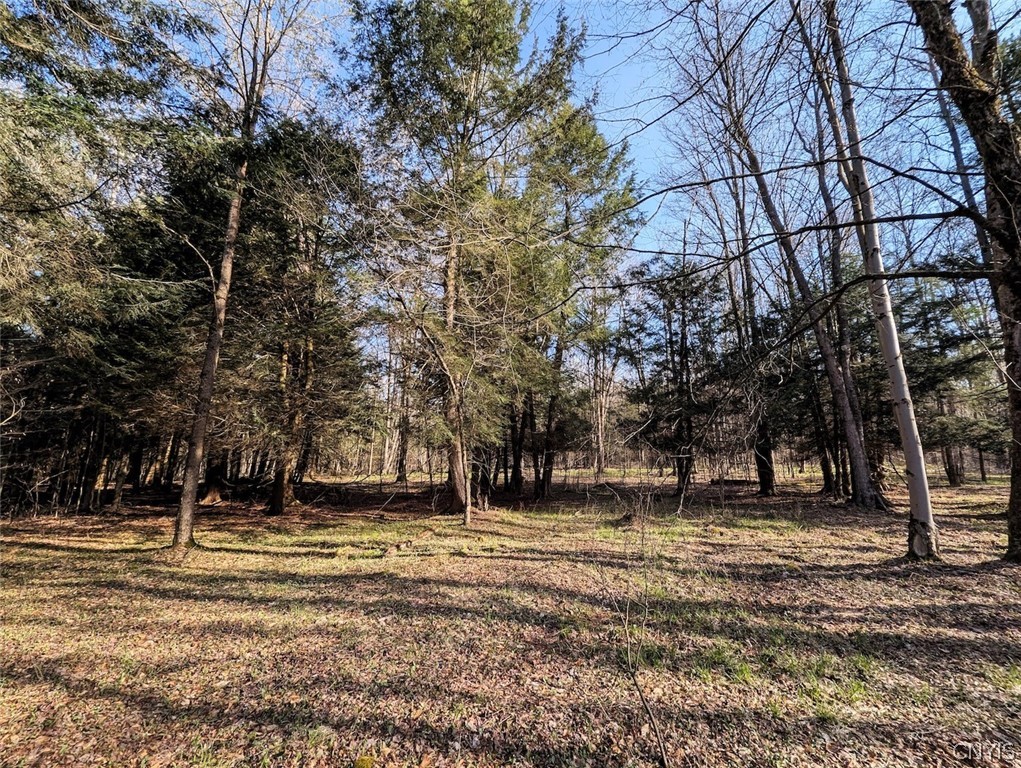 2788 Williamson Road Greenwood, NY 14839 - Photo 21 of 37