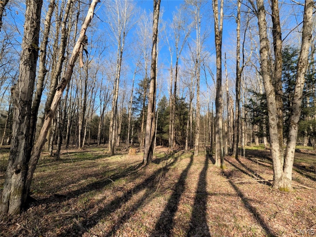 2788 Williamson Road Greenwood, NY 14839 - Photo 22 of 37