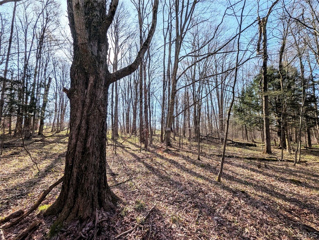 2788 Williamson Road Greenwood, NY 14839 - Photo 23 of 37