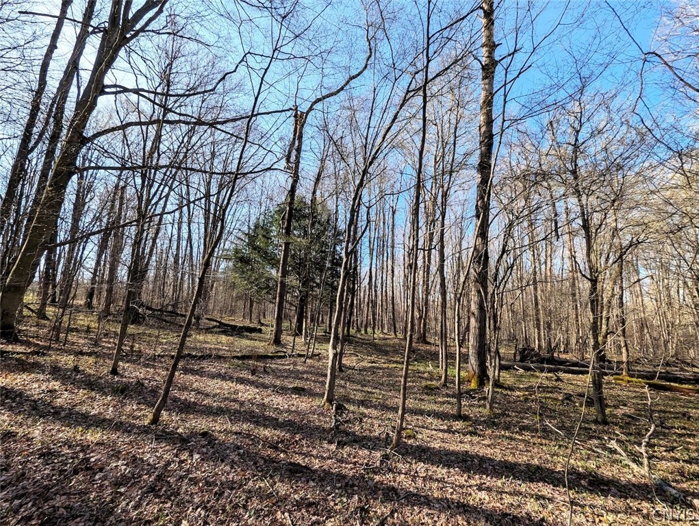 2788 Williamson Road Greenwood, NY 14839 - Photo 24 of 37