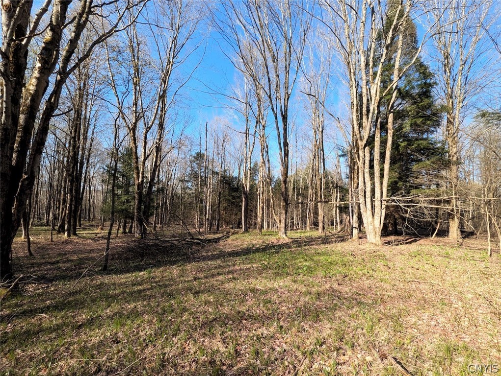 2788 Williamson Road Greenwood, NY 14839 - Photo 25 of 37