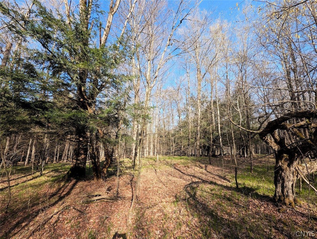 2788 Williamson Road Greenwood, NY 14839 - Photo 26 of 37