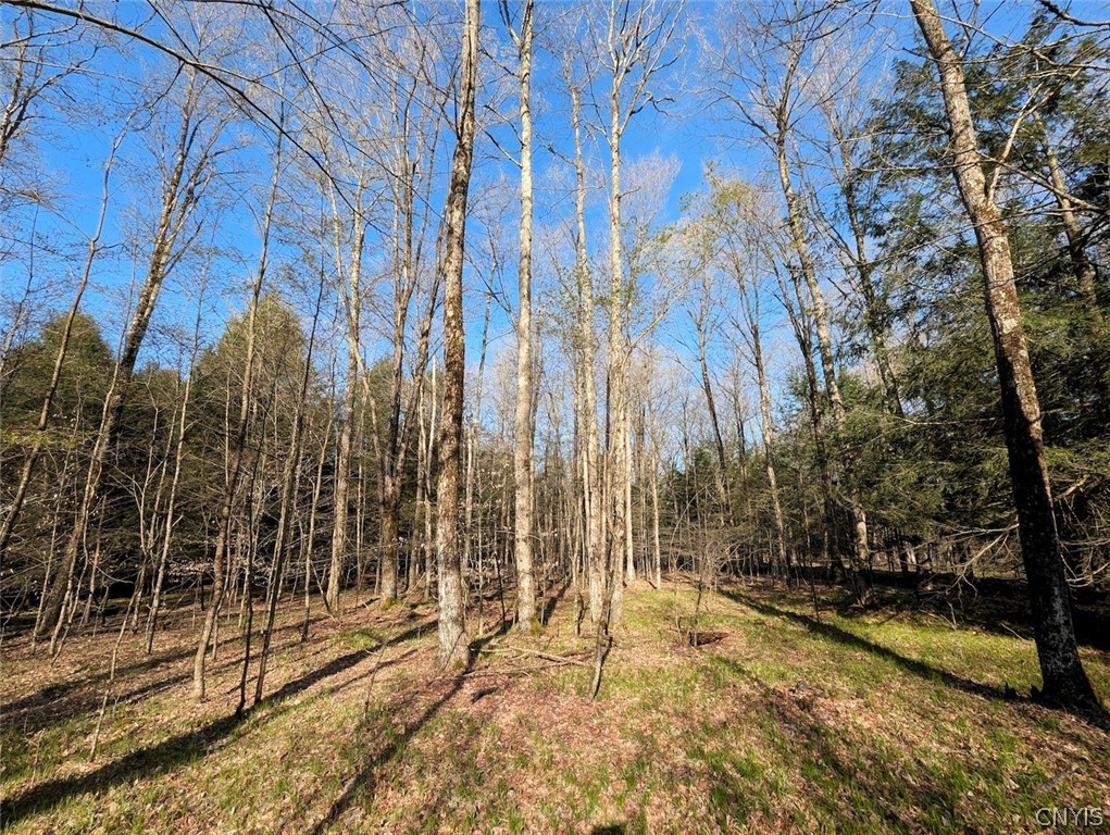 2788 Williamson Road Greenwood, NY 14839 - Photo 27 of 37