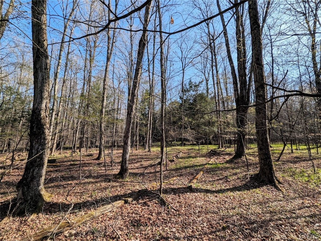 2788 Williamson Road Greenwood, NY 14839 - Photo 28 of 37