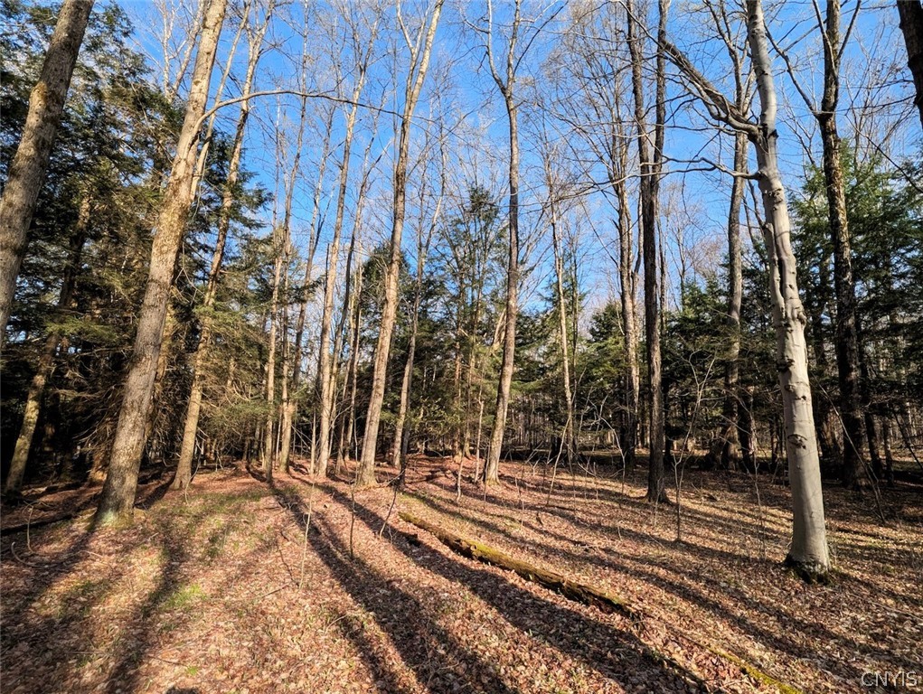 2788 Williamson Road Greenwood, NY 14839 - Photo 29 of 37
