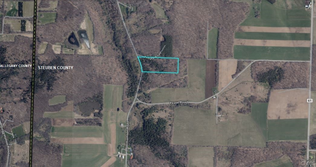 2788 Williamson Road Greenwood, NY 14839 - Photo 36 of 37