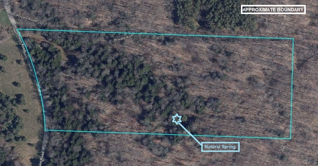 2788 Williamson Road Greenwood, NY 14839 - Photo 4 of 37