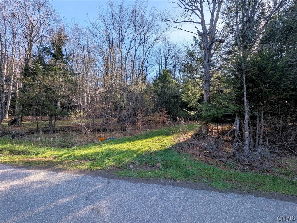 2788 Williamson Road Greenwood, NY 14839 - Photo 9 of 37