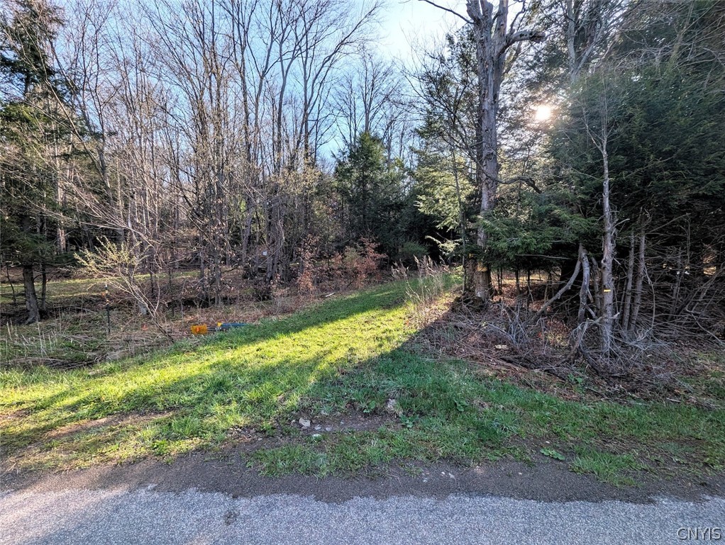 2788 Williamson Road Greenwood, NY 14839 - Photo 10 of 37