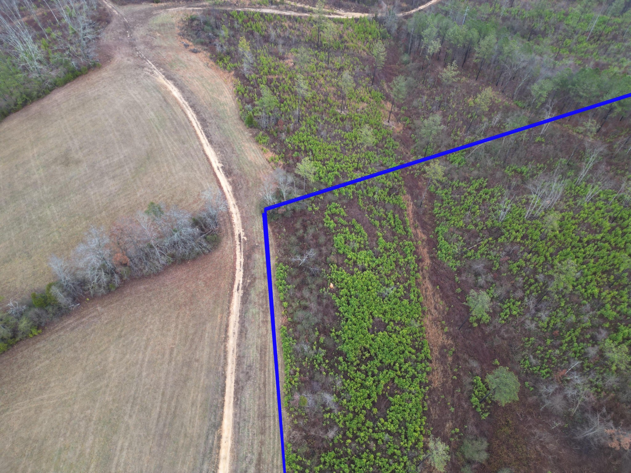 0 Webb Town Road Evensville, TN 37332 - Photo 1 of 6 Gallery Image 1