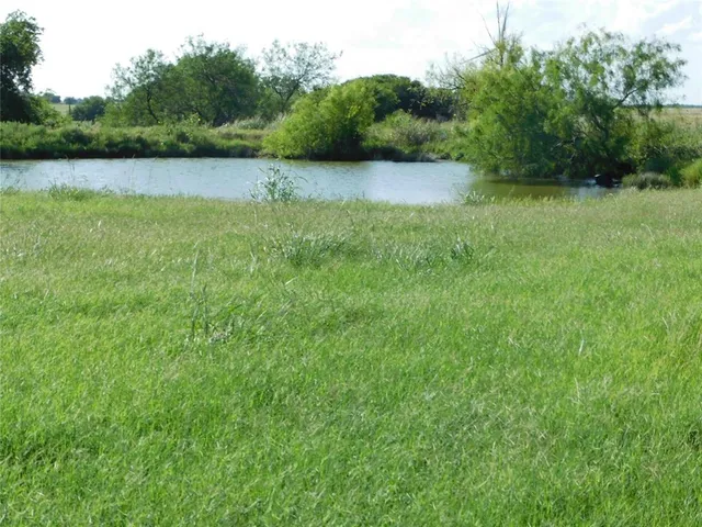 a view of green field with trees in the background