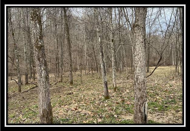 35471 Buck Run Road Langsville, OH 45741 - Photo 16 of 32