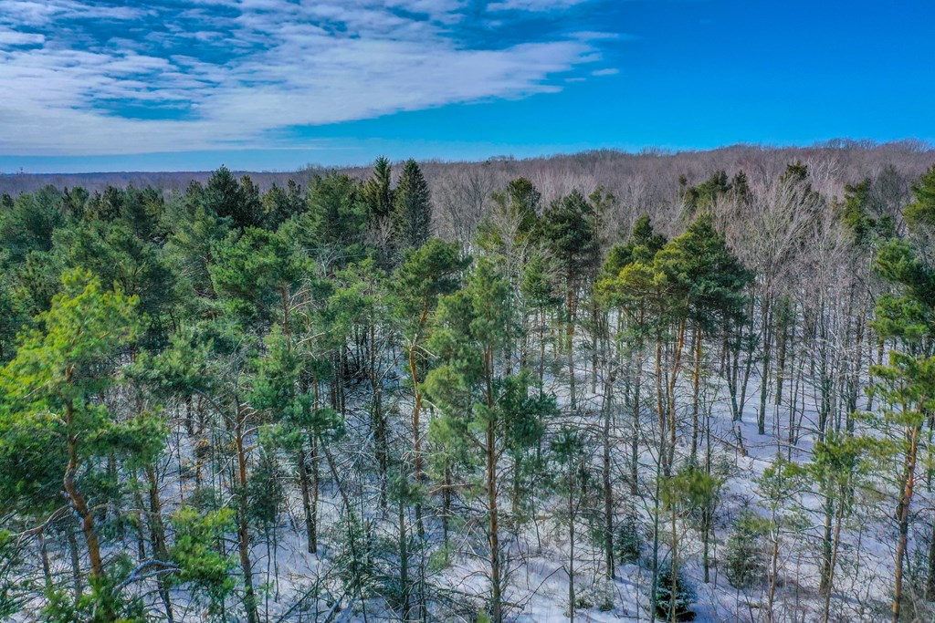 Lot 2 Daisy Patch Road Fish Creek, WI 54212 - Photo 2 of 14