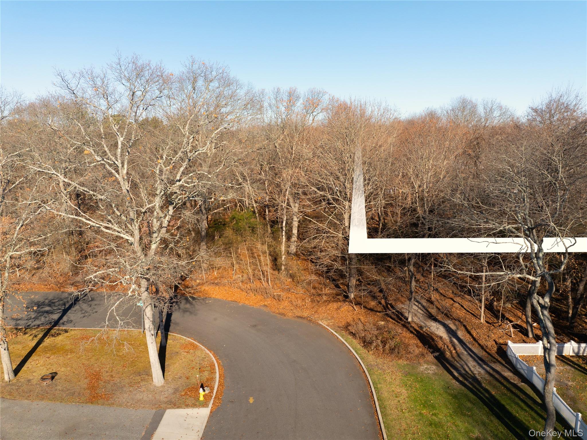 Shaw Avenue Bellport, NY 11713 - Photo 1 of 4 a view of a yard with iron fence