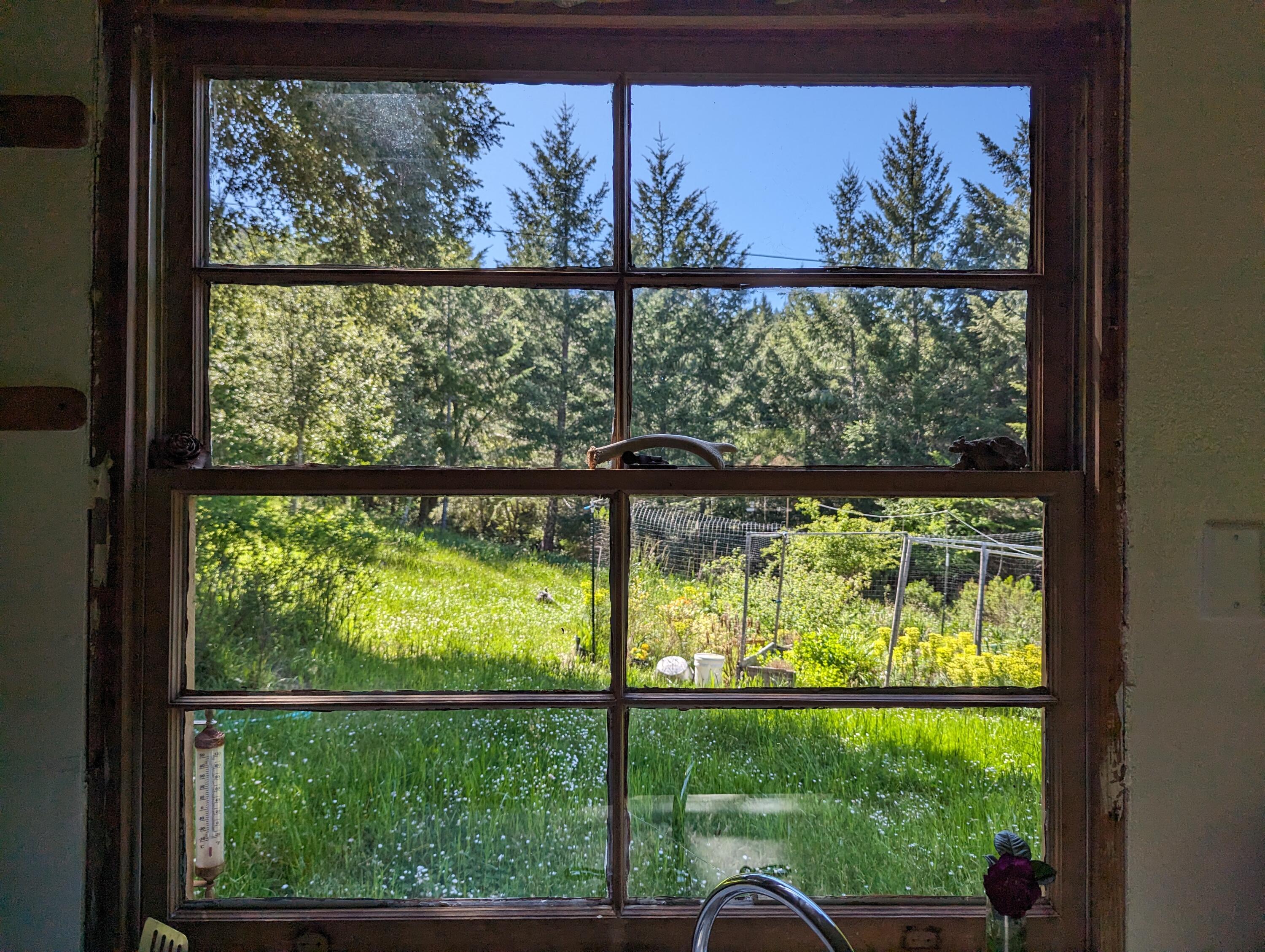 3951 Upper Thomas Early Ranch Road Miranda, CA 95553 - Photo 47 of 57