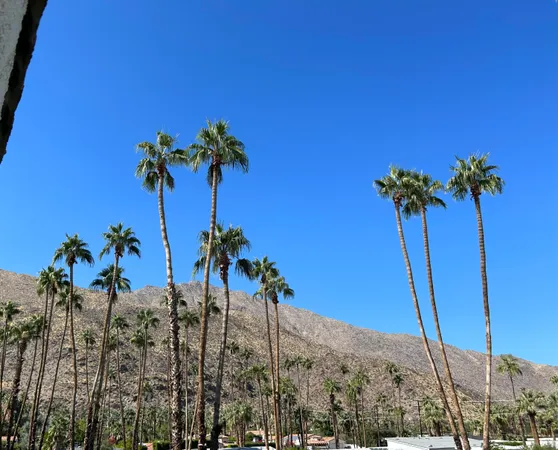 $2,500 | 1900 South Palm Canyon Drive, Unit 42, Palm Springs, CA 92264