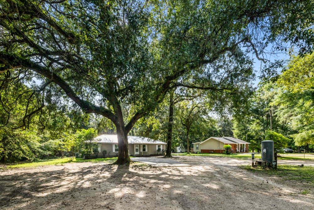 135 Ball Farm Road Quincy, FL 32352 - Photo 6 of 58