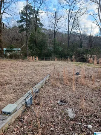 $23,000 | 7612 Cedar Avenue, Unit LOT 26 & 27, Leeds, AL 35094
